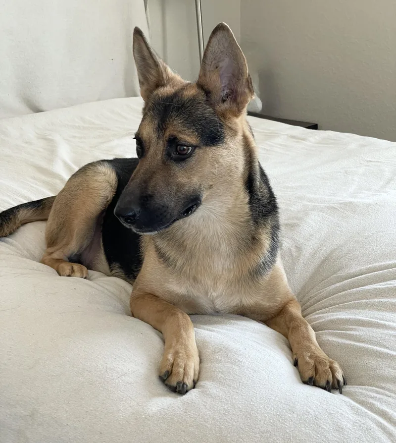 Brilliant Kairo thumbnail 5