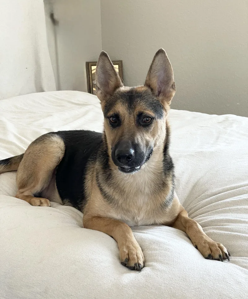 Brilliant Kairo thumbnail 6