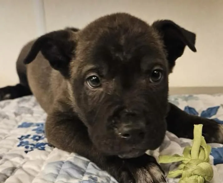 Sidney Incredible photo 1