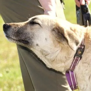 Gracie Momma Storm thumbnail 3