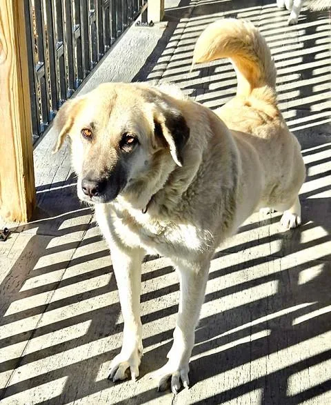 Gracie Momma Storm thumbnail 5