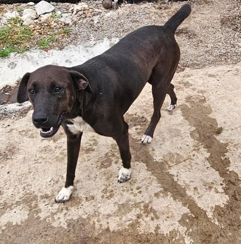 Corrina Class thumbnail 2