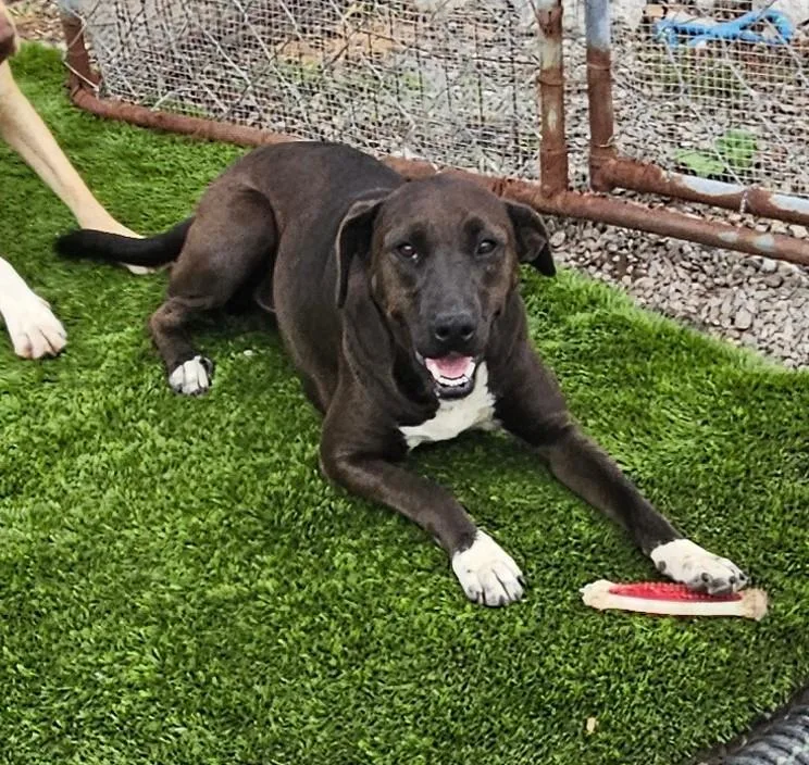 Corrina Class thumbnail 4