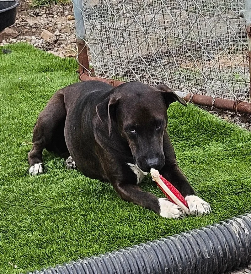 Corrina Class thumbnail 5