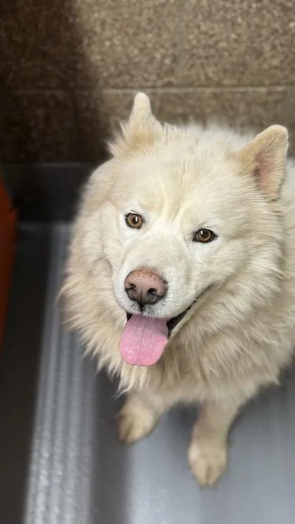 Mr. Freeze thumbnail 2