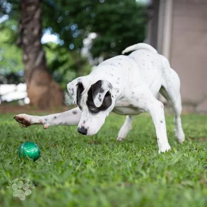 Caroline thumbnail 2