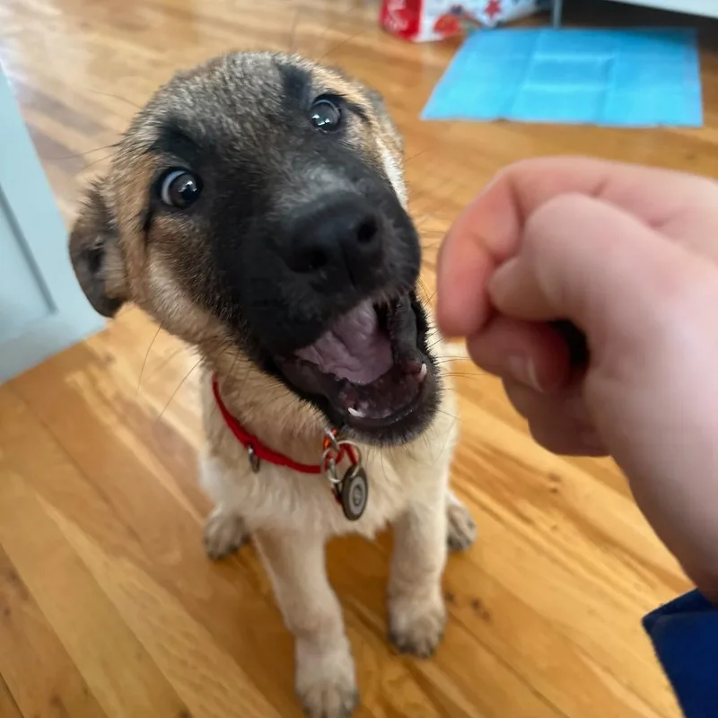 Miss Agnes thumbnail 5