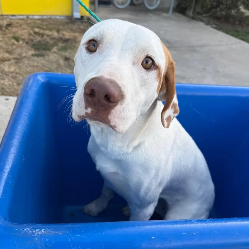 Elena Velez thumbnail 2