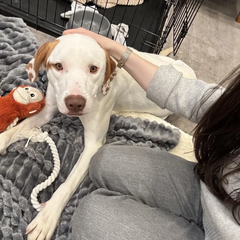 Elena Velez thumbnail 3