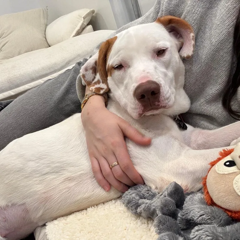 Elena Velez thumbnail 4