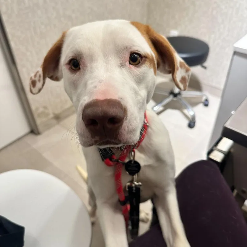 Elena Velez thumbnail 5