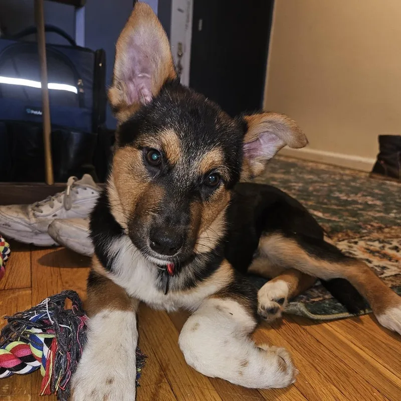 Sherri Ann thumbnail 2