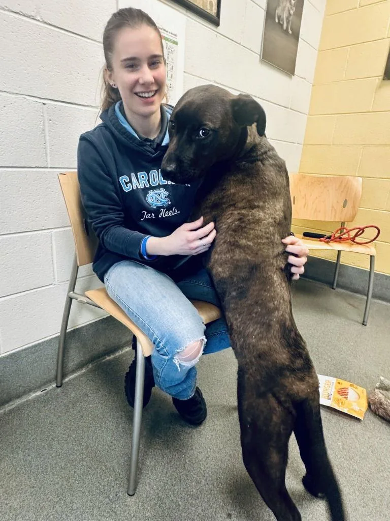 Dq  Burner thumbnail 2