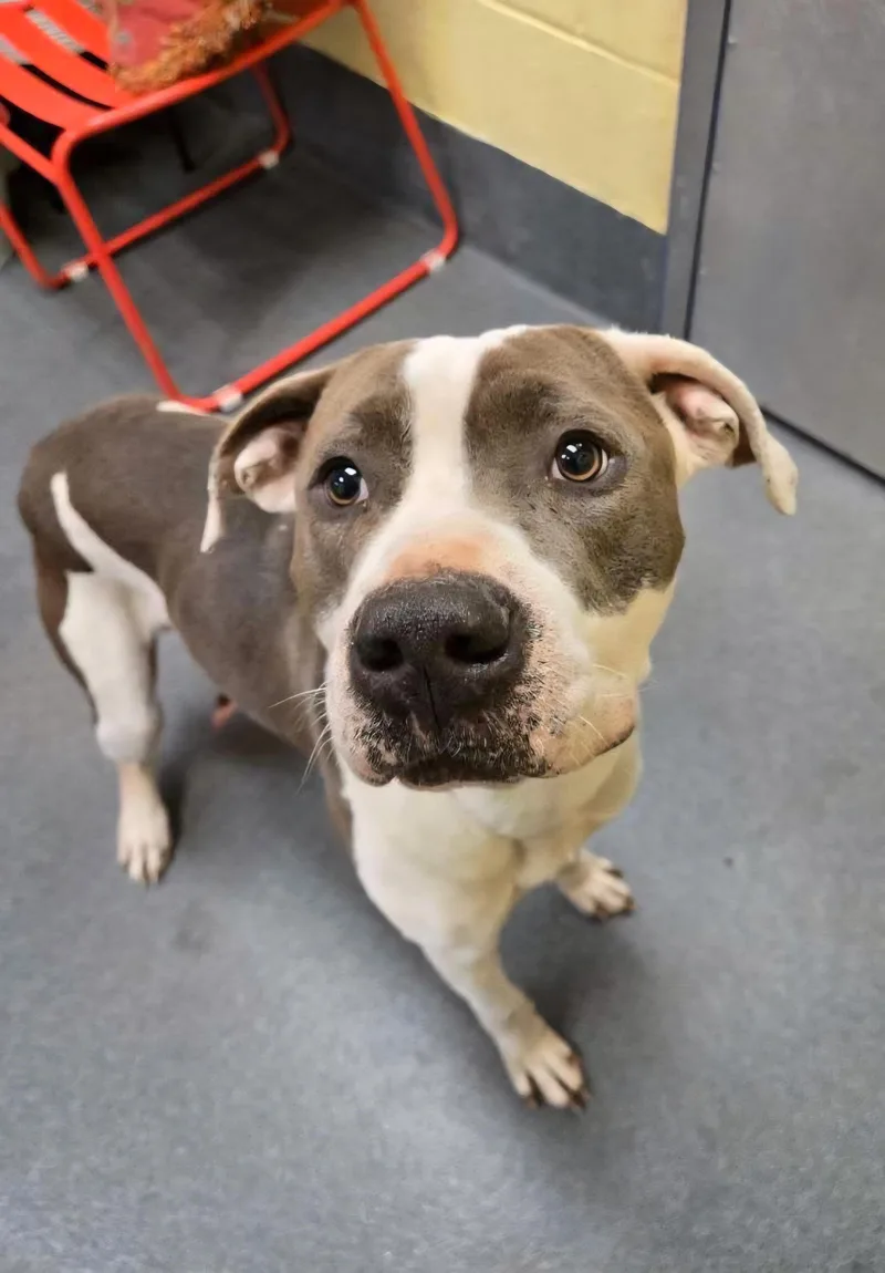 Sweet Snow thumbnail 5