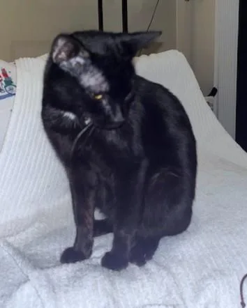 Tony Montana thumbnail 2