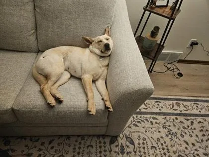 Pinkie Pie thumbnail 2