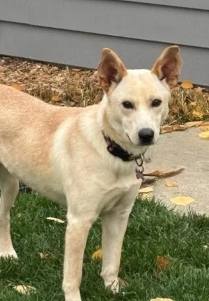 Pinkie Pie thumbnail 3