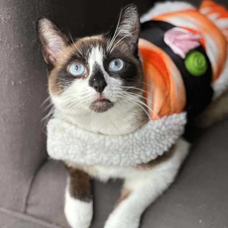 Sunshine thumbnail 2