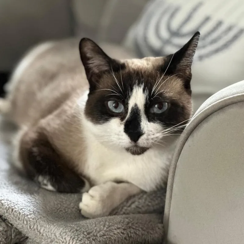 Sunshine thumbnail 4