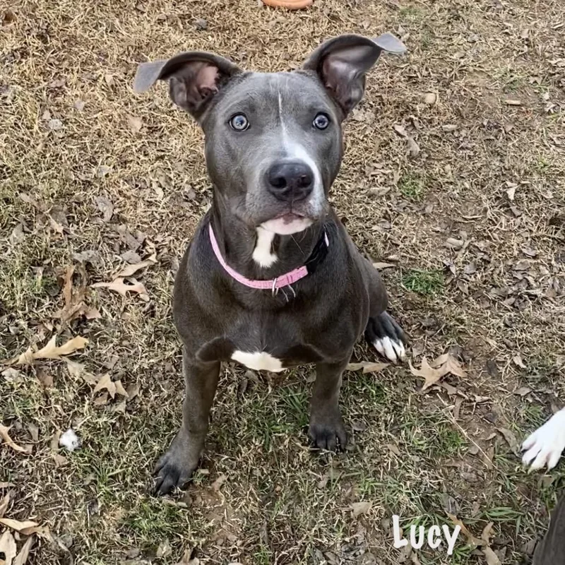 Lucy