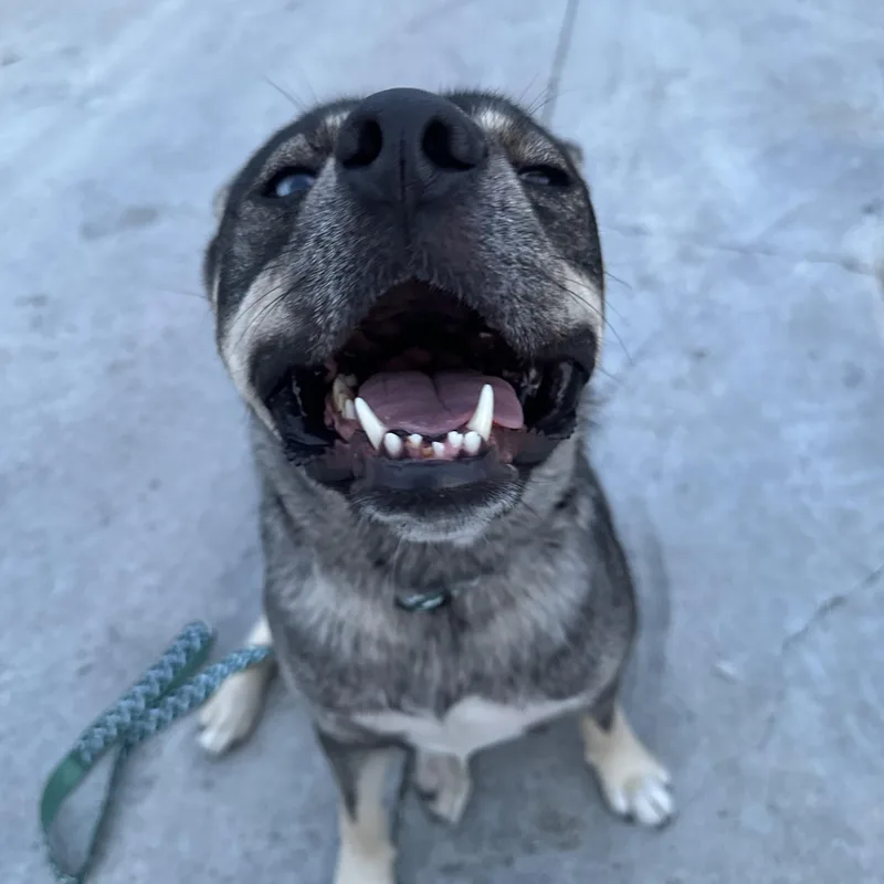 Pooh Bear thumbnail 2