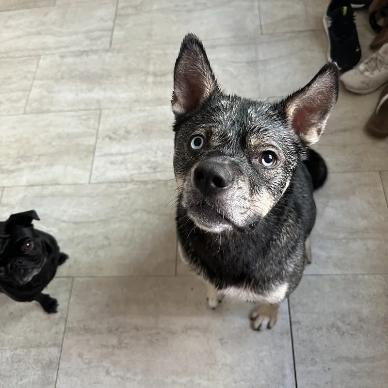 Pooh Bear thumbnail 3