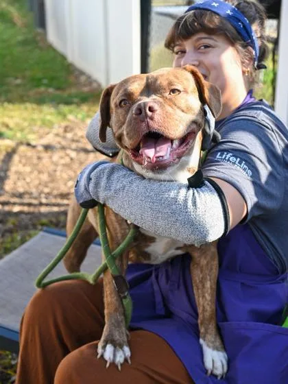 Priscilla thumbnail 2