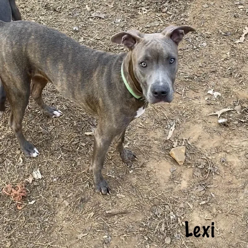 Lexi thumbnail 5