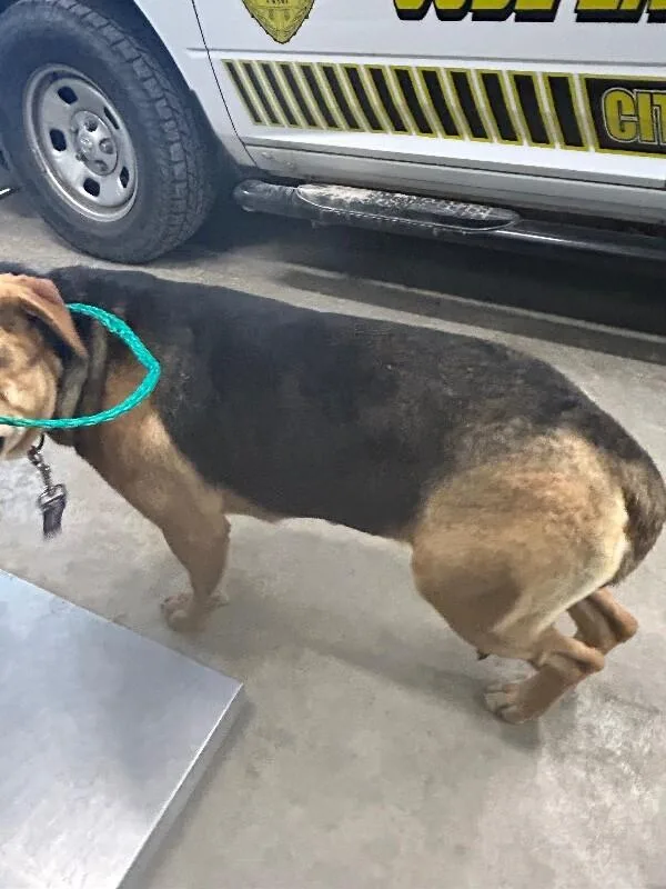 Frida Khalo thumbnail 2