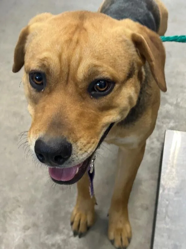 Frida Khalo thumbnail 4