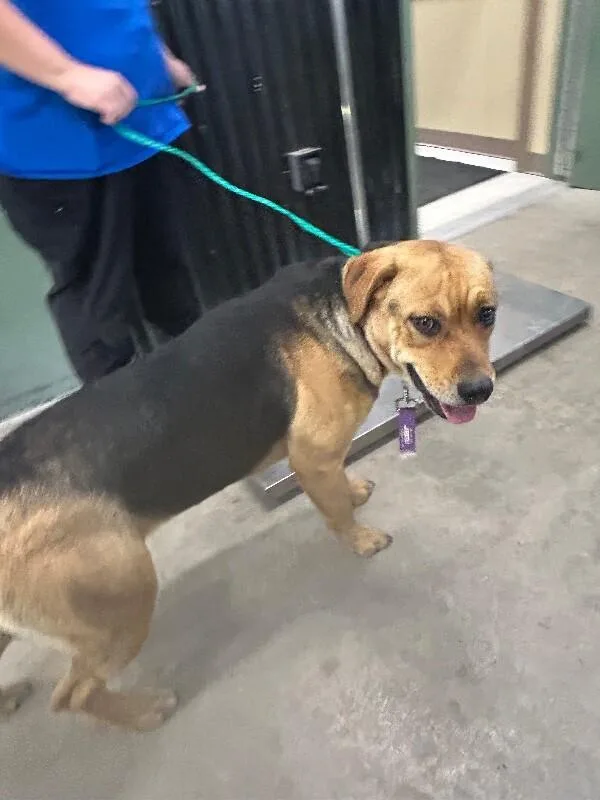 Frida Khalo thumbnail 5