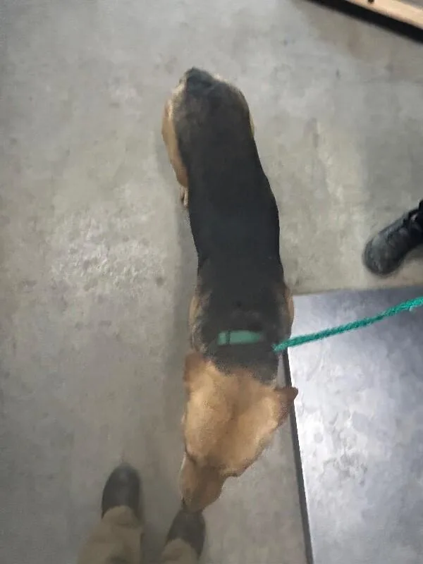 Frida Khalo thumbnail 6