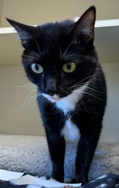 Bobby Jo thumbnail 2