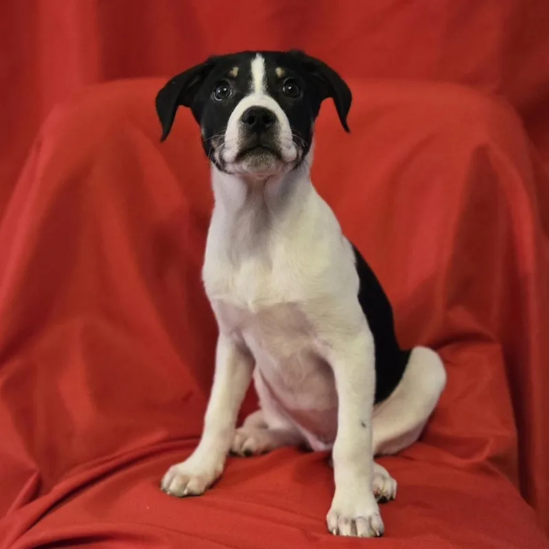 Virginia Woolf thumbnail 2