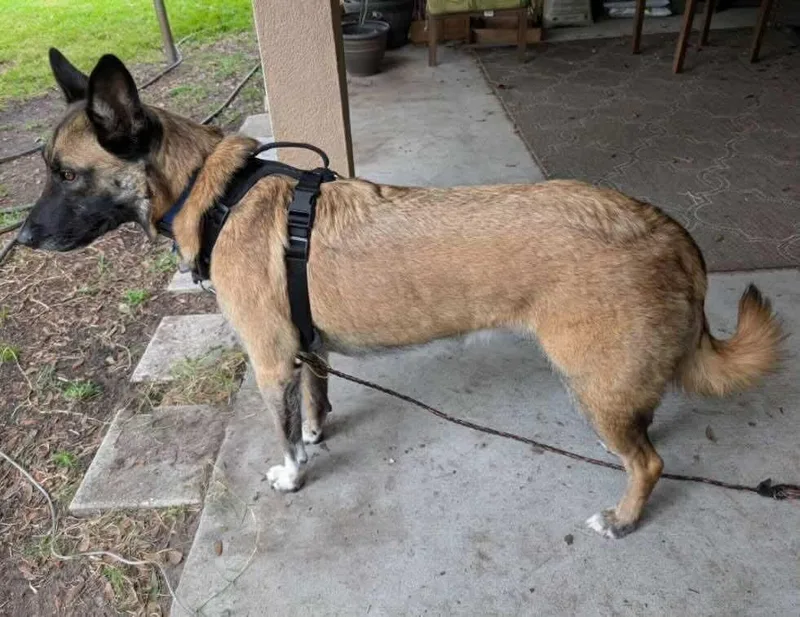 Franklin  Located In photo 1