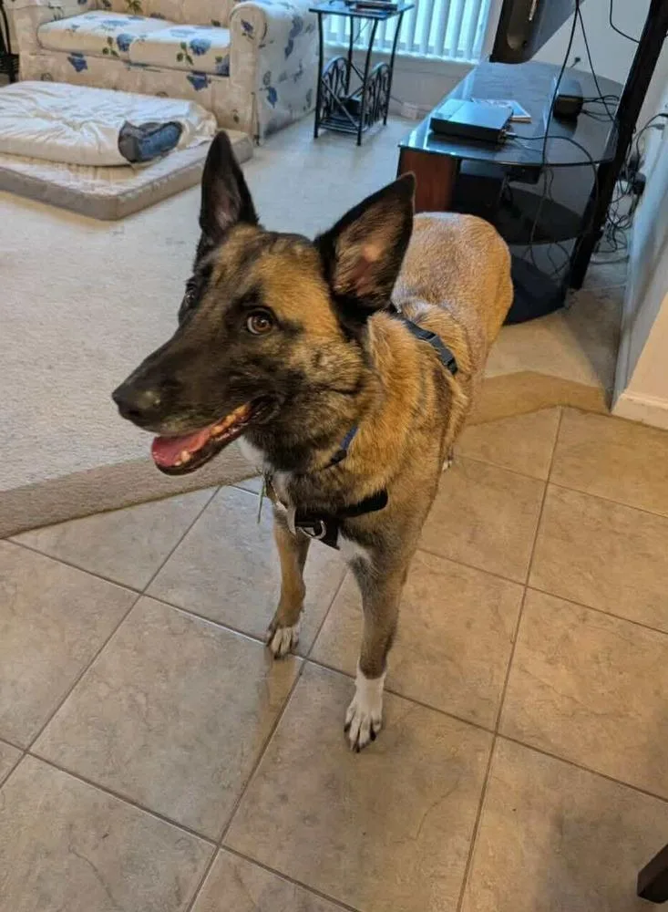 Franklin  Located In thumbnail 2