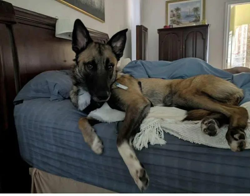 Franklin  Located In thumbnail 3