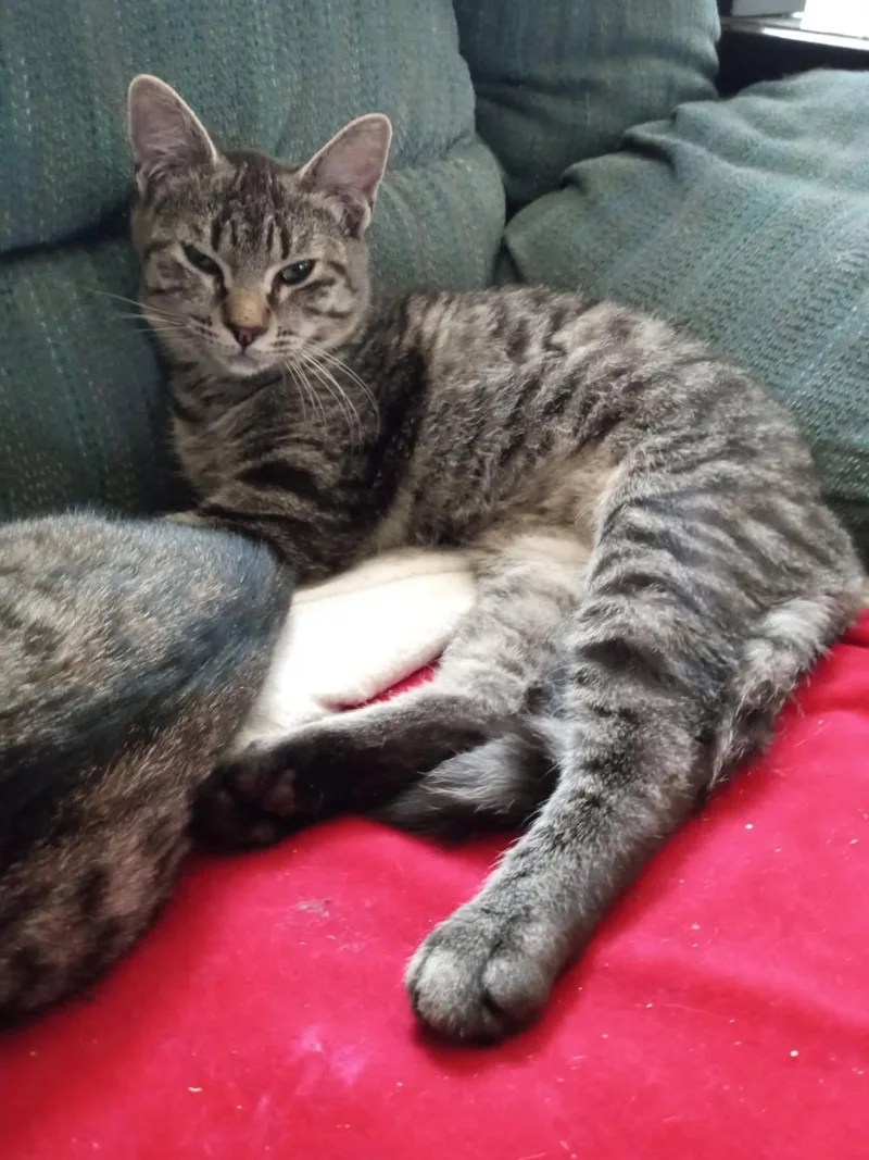 Sage Ellen thumbnail 3