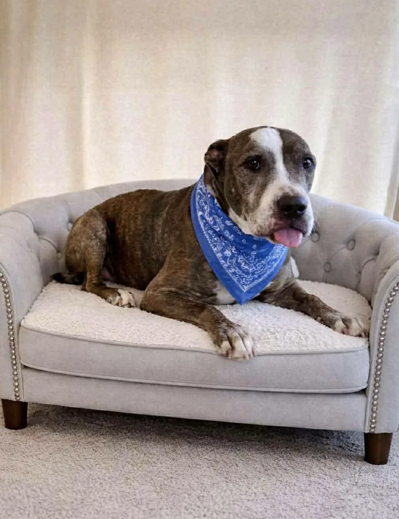 Hercules thumbnail 3