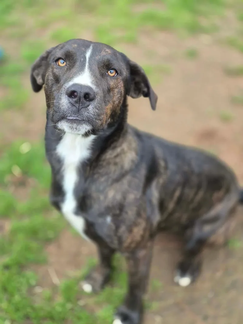 Emmy Lou thumbnail 5