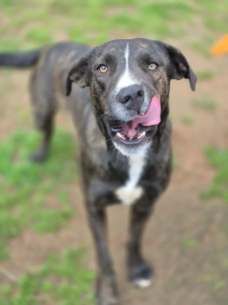 Emmy Lou thumbnail 6