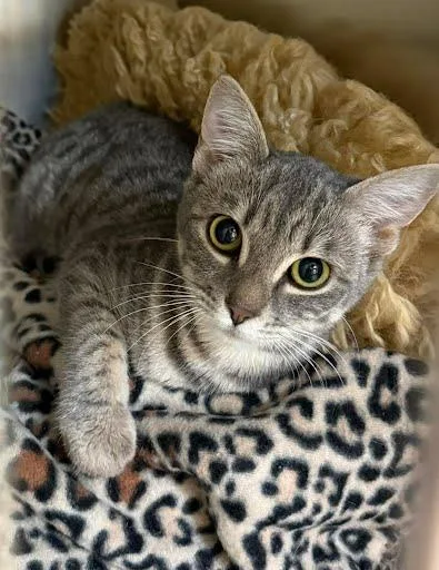 Blizzard thumbnail 2