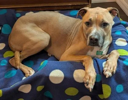 Hercules thumbnail 2