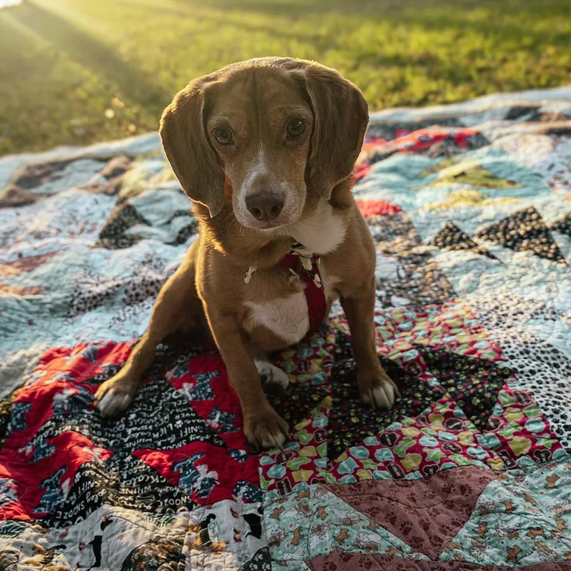 Chloe Anne thumbnail 2