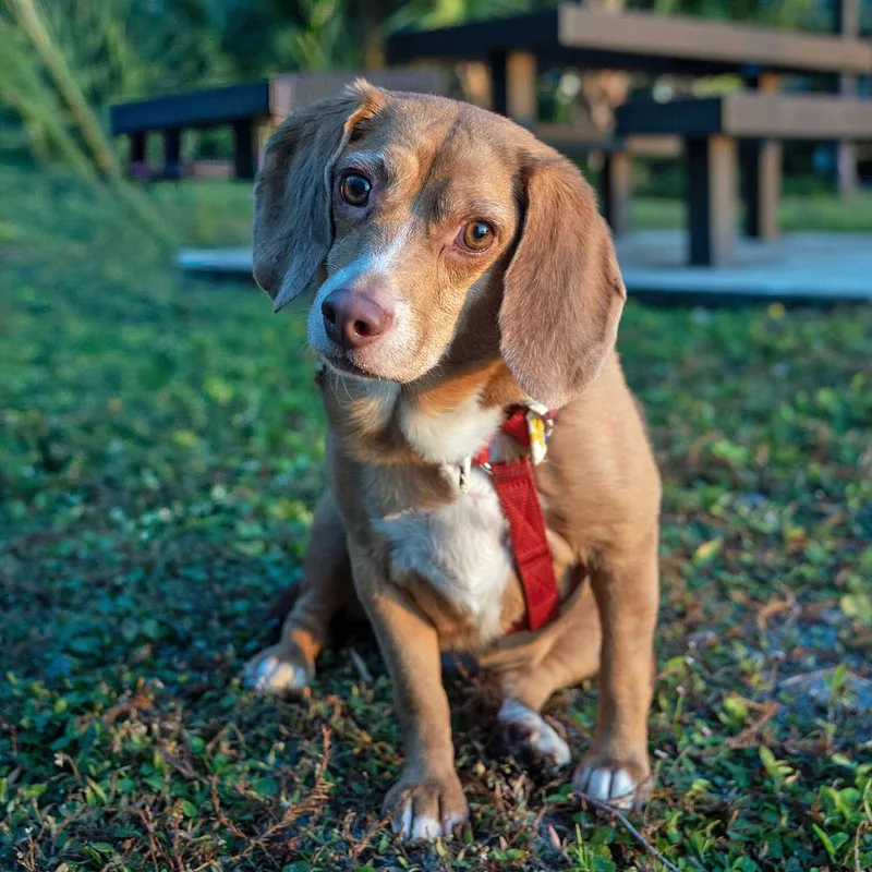 Chloe Anne thumbnail 3