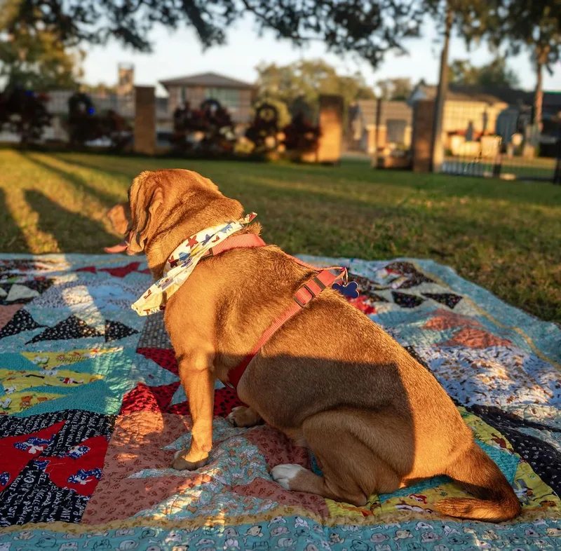 Chloe Anne thumbnail 4