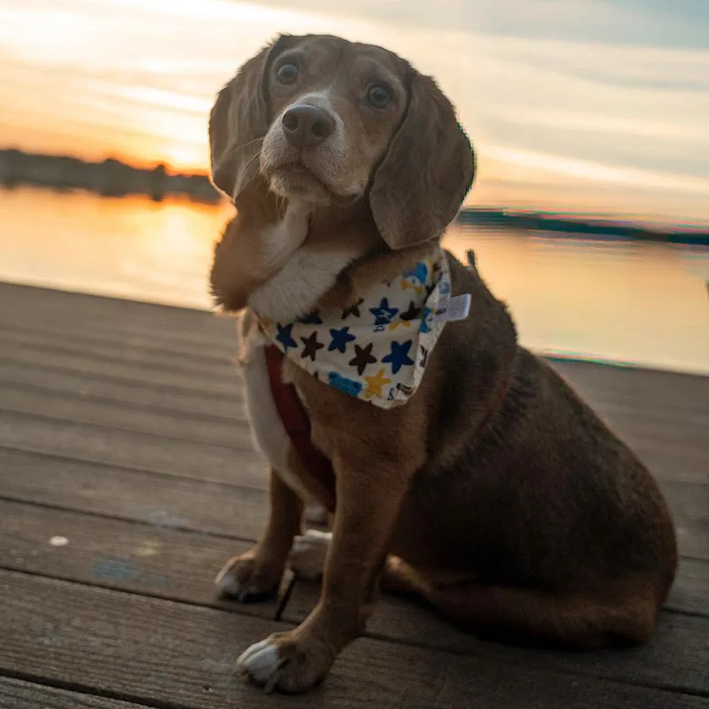 Chloe Anne thumbnail 5