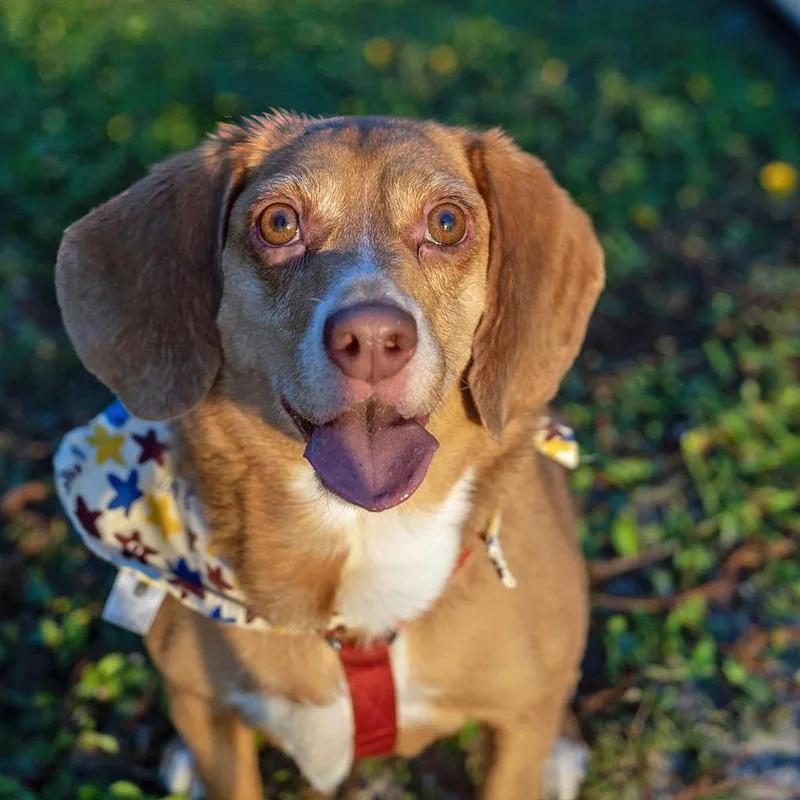 Chloe Anne thumbnail 6