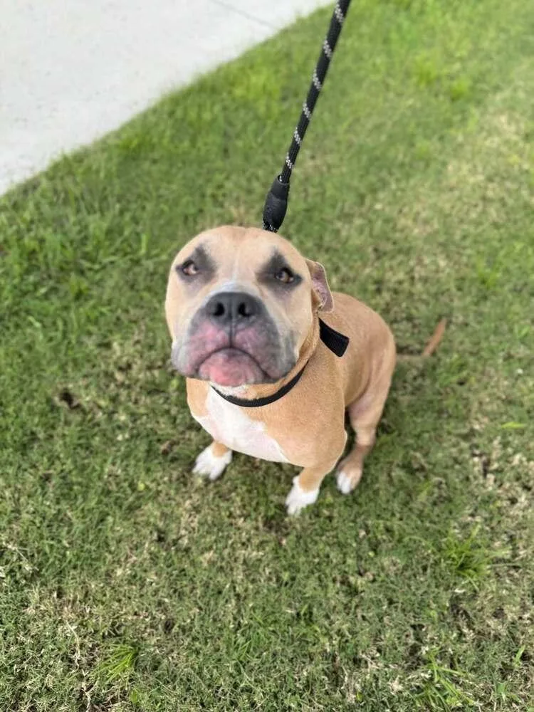 Godzilla thumbnail 2