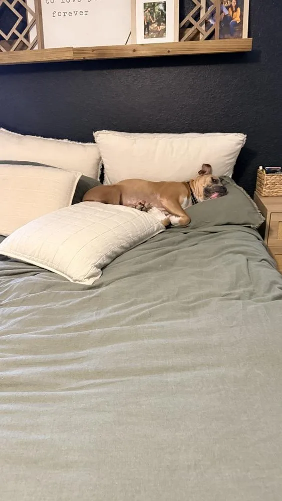 Godzilla thumbnail 5